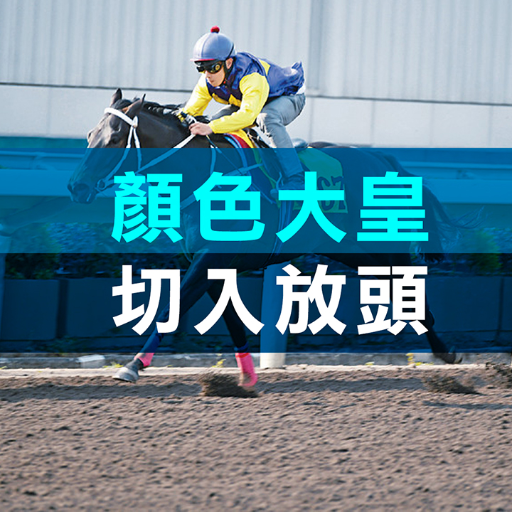 顏色大皇  切入放頭