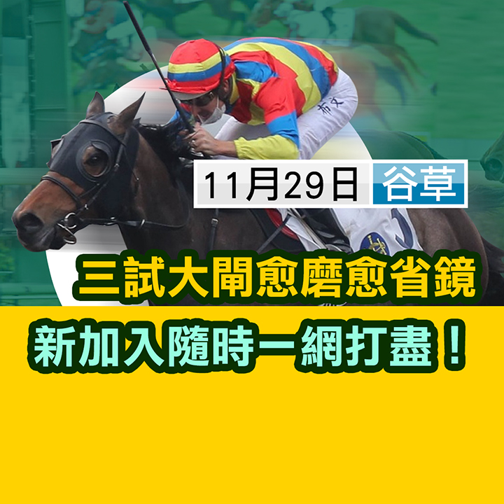 大閘省鏡  一網打盡