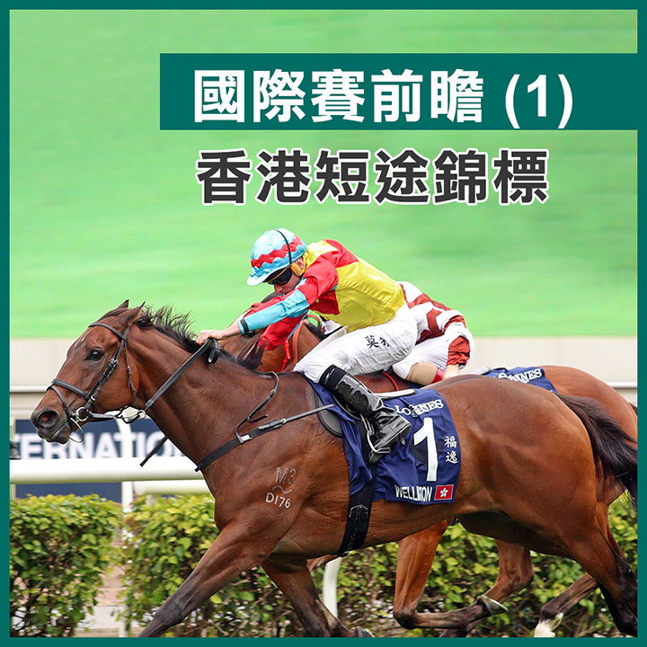 國際賽前瞻 (1) - 香港短途錦標