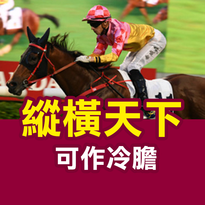 縱橫天下 可作冷膽