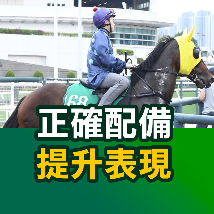 正確配備  提升表現