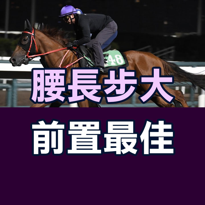 腰長步大 前置最佳