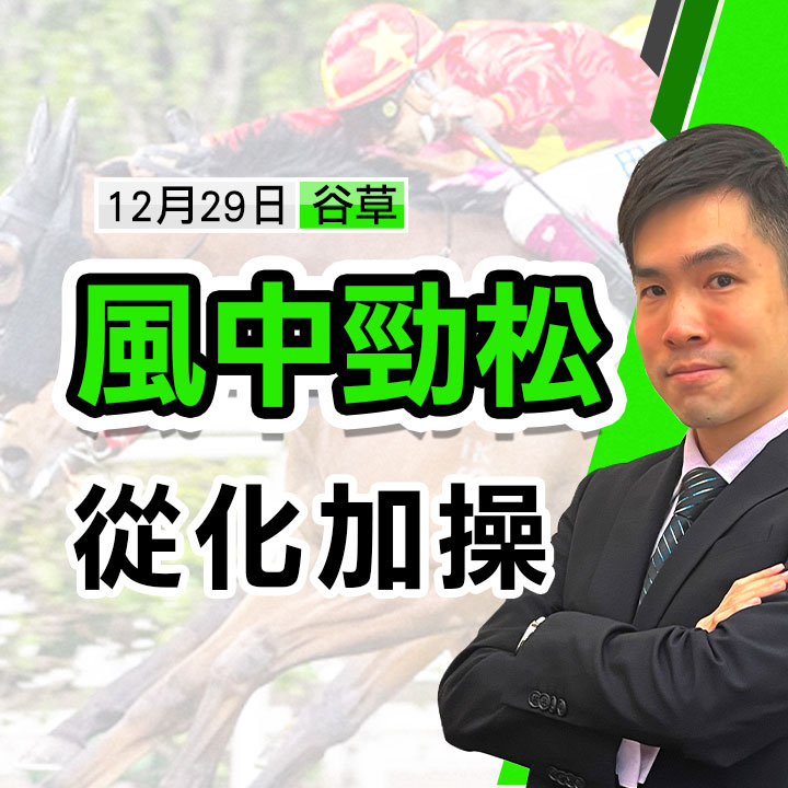 風中勁松 從化加操