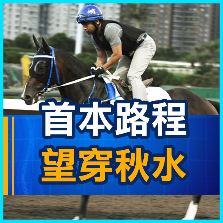 首本路程  望穿秋水