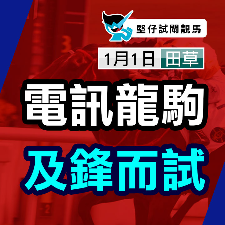 電訊龍駒  及鋒而試