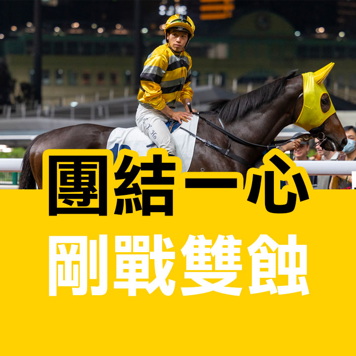 團結一心 剛戰雙蝕