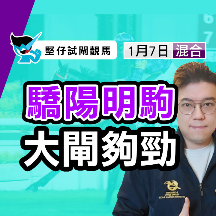 驕陽明駒 大閘夠勁