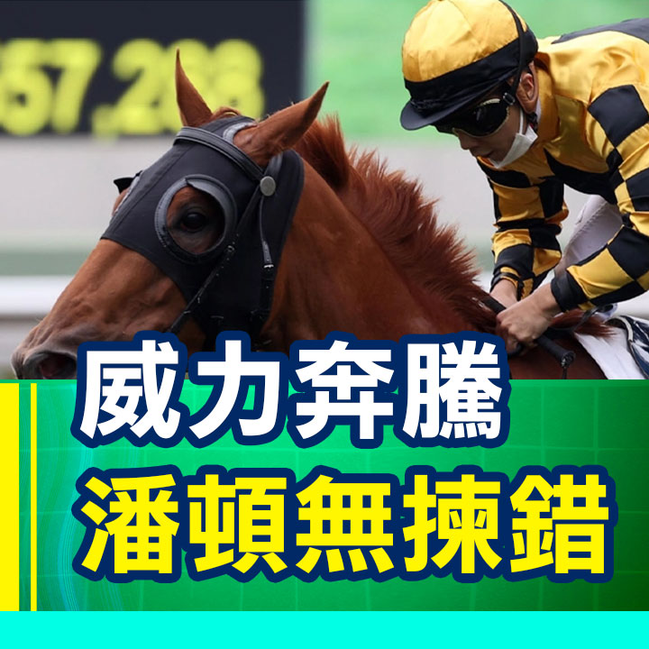 威力奔腾 潘顿无拣错
