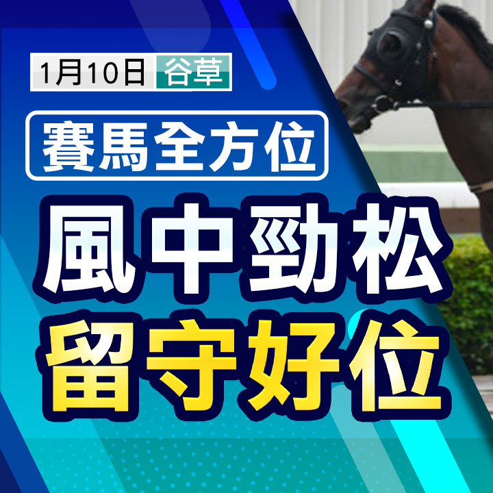 風中勁松 留守好位