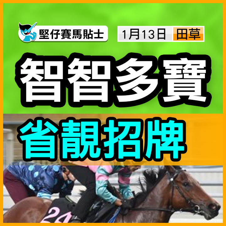 智智多寶 省靚招牌