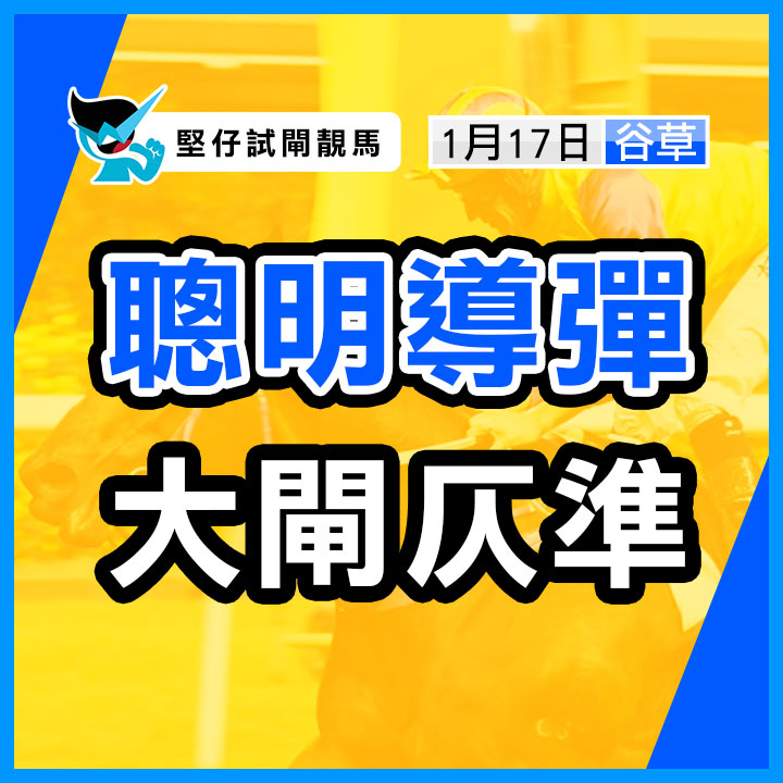 聰明導彈  大閘仄準