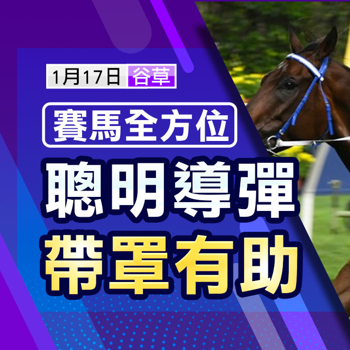 聰明導彈  帶罩有助