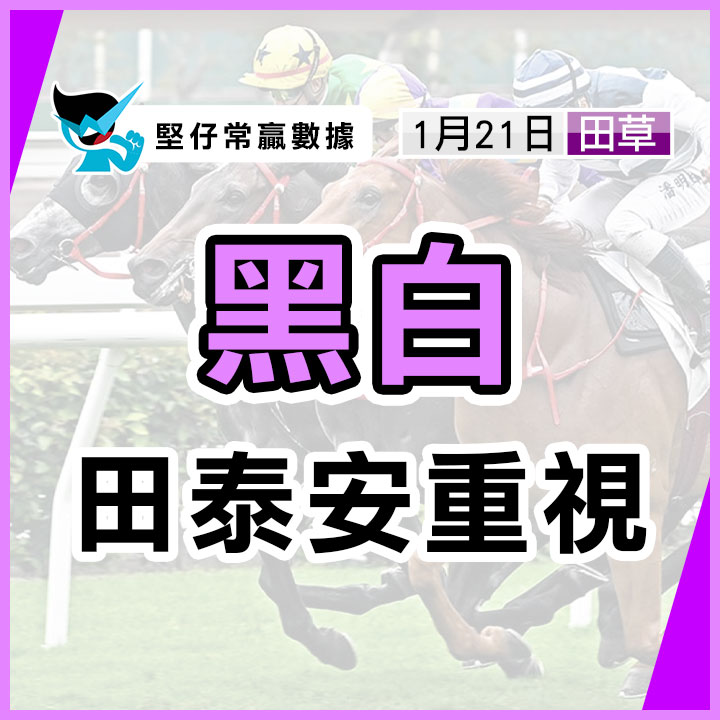黑白 田泰安重視