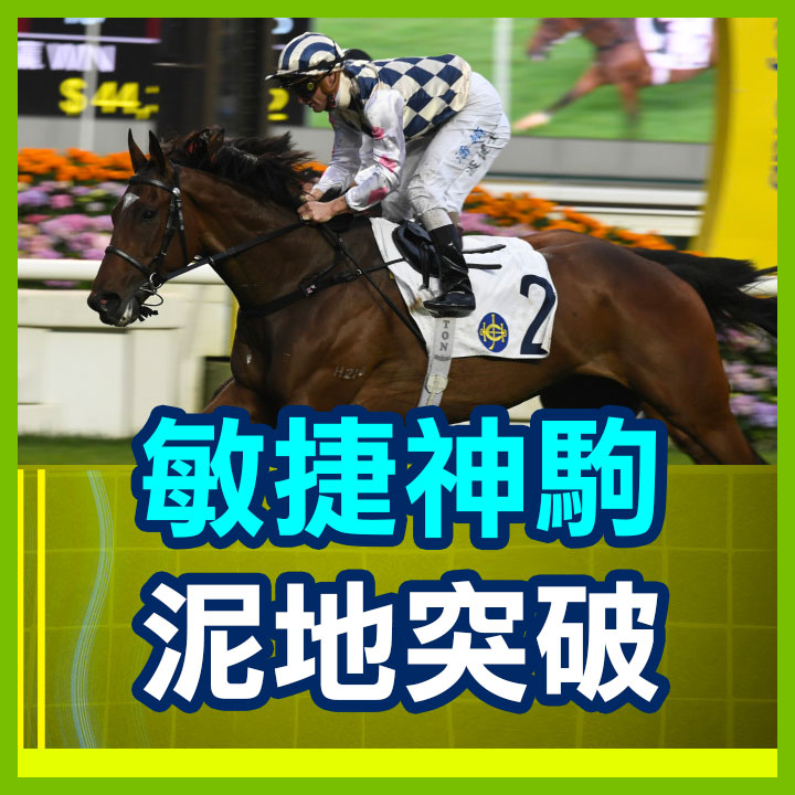 敏捷神駒 泥地突破
