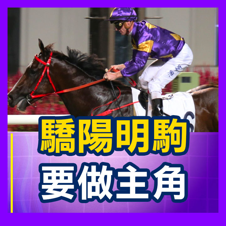 驕陽明駒 要做主角