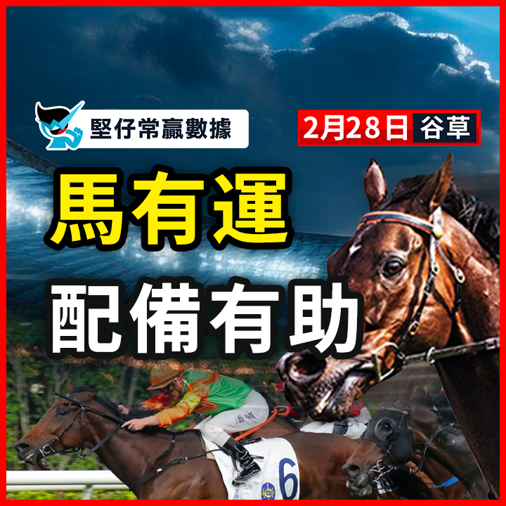 馬有運 配備有助