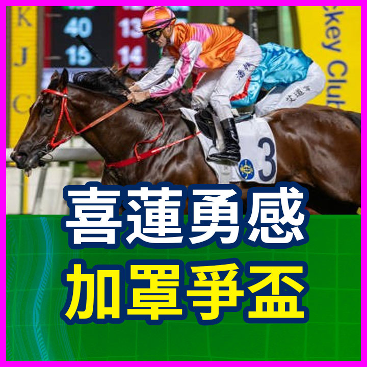 喜蓮勇感 加罩爭盃