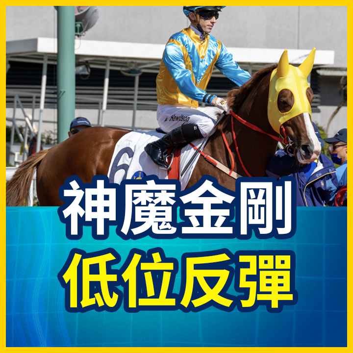 神魔金剛 低位反彈