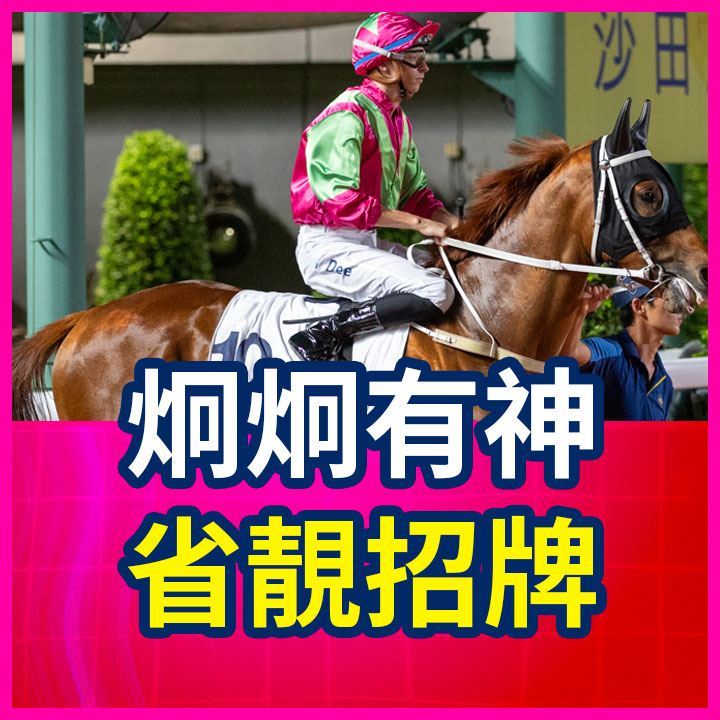 炯炯有神 省靚招牌