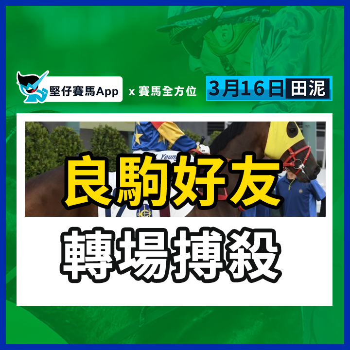 良駒好友 轉場搏殺