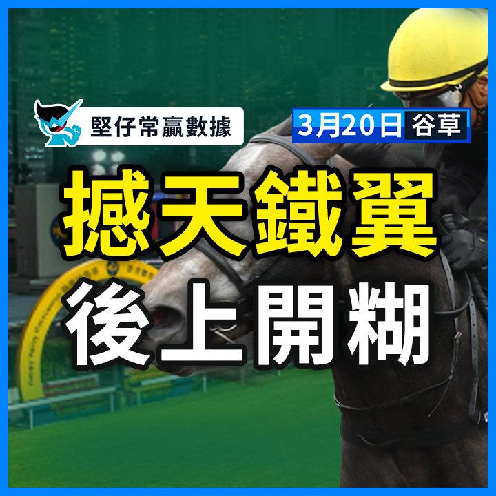 撼天鐵翼 後上開糊