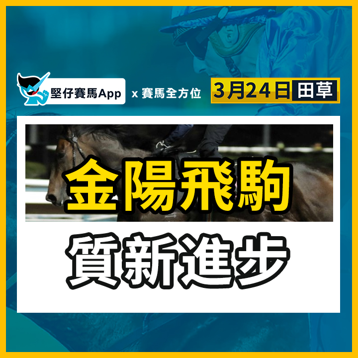 金陽飛駒 質新進步