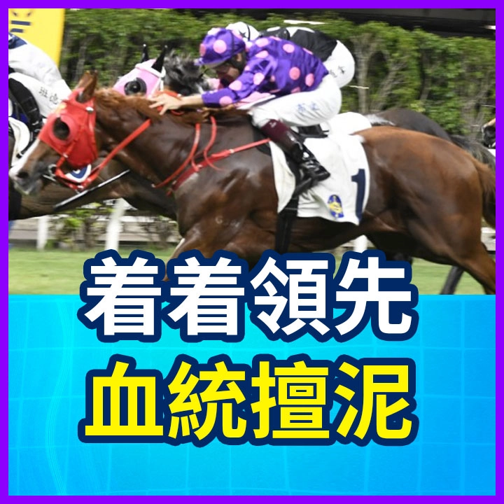 着着領先 血統擅泥