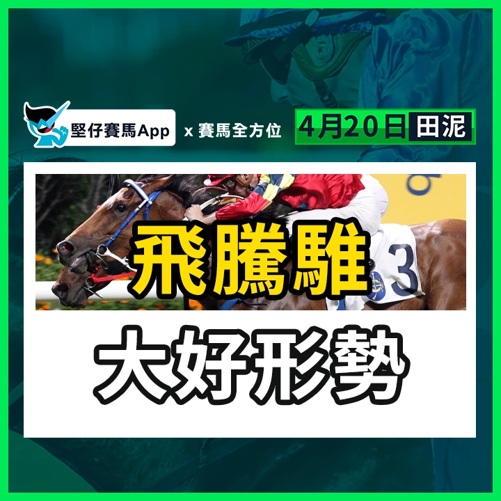 飛騰騅 大好形勢