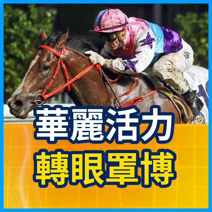華麗活力 轉眼罩博