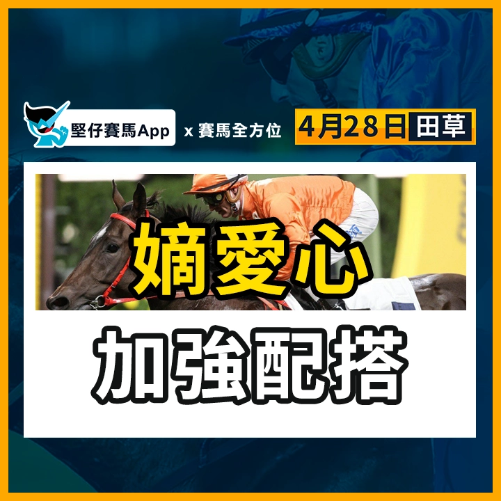 嫡愛心 加強配搭