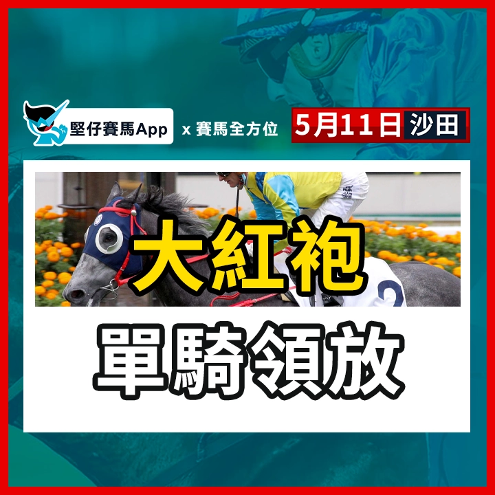 大紅袍 單騎領放