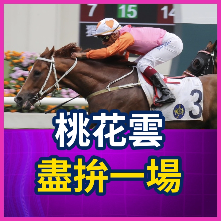 桃花雲 盡拼一場
