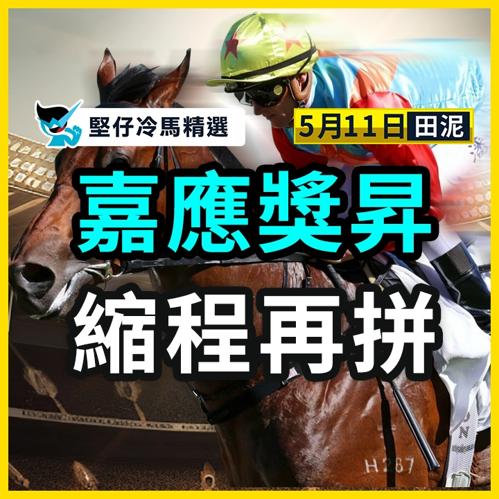 嘉應獎昇 縮程再拼