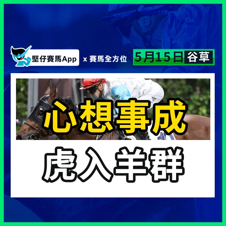 心想事成 虎入羊群