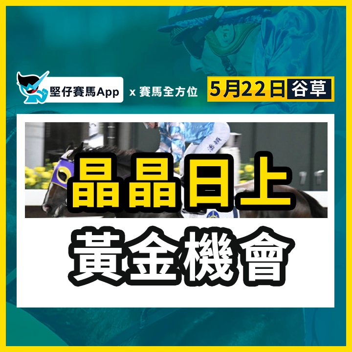 晶晶日上  黃金機會