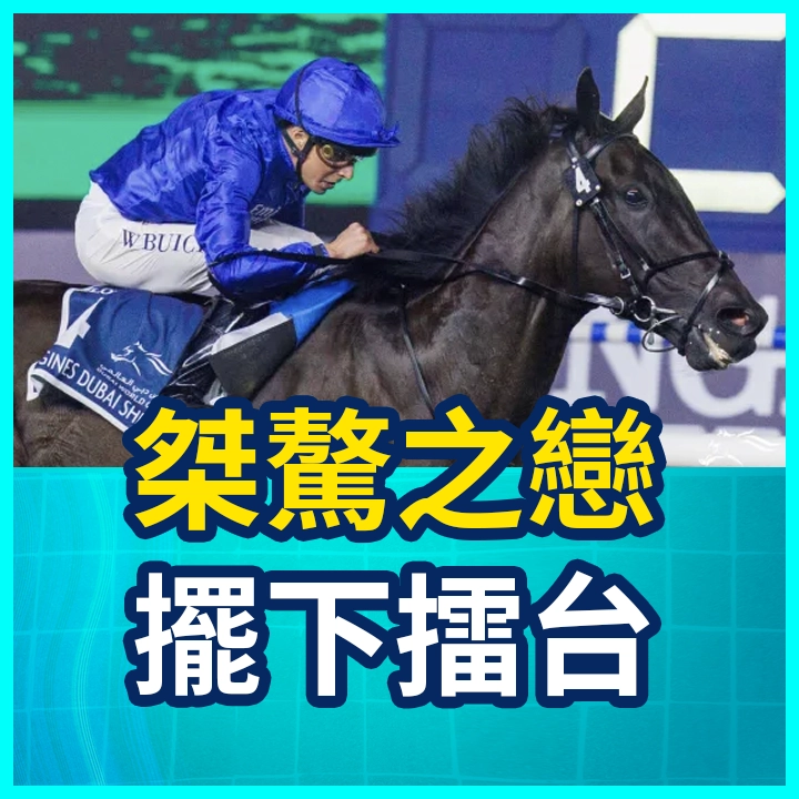 桀驁之戀 擺下擂台