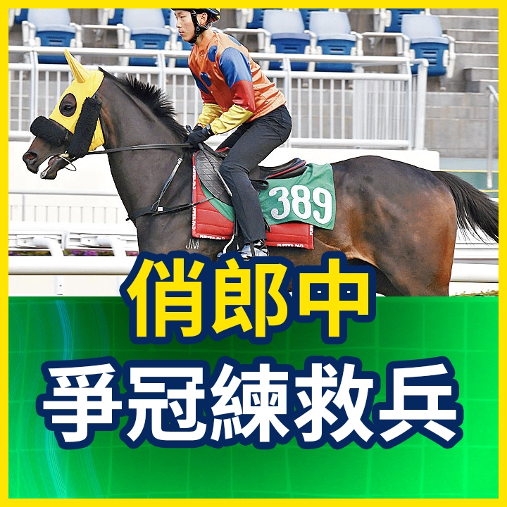 俏郎中 爭冠練救兵