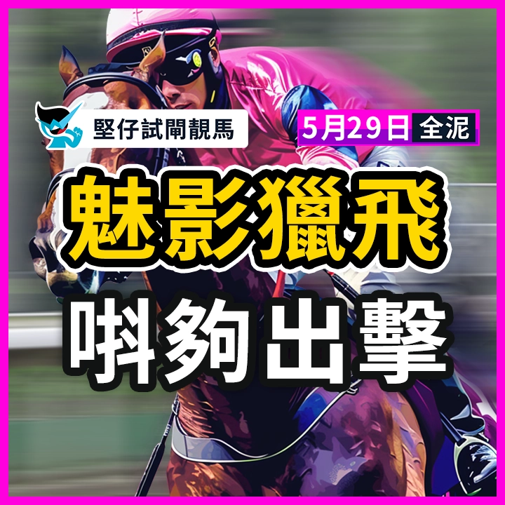 魅影獵飛 唞夠出擊