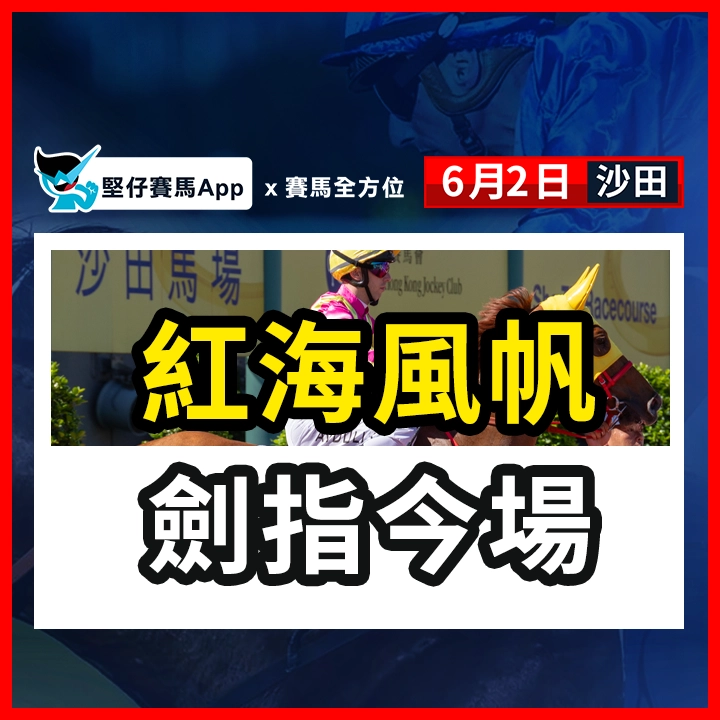 紅海風帆 劍指今場