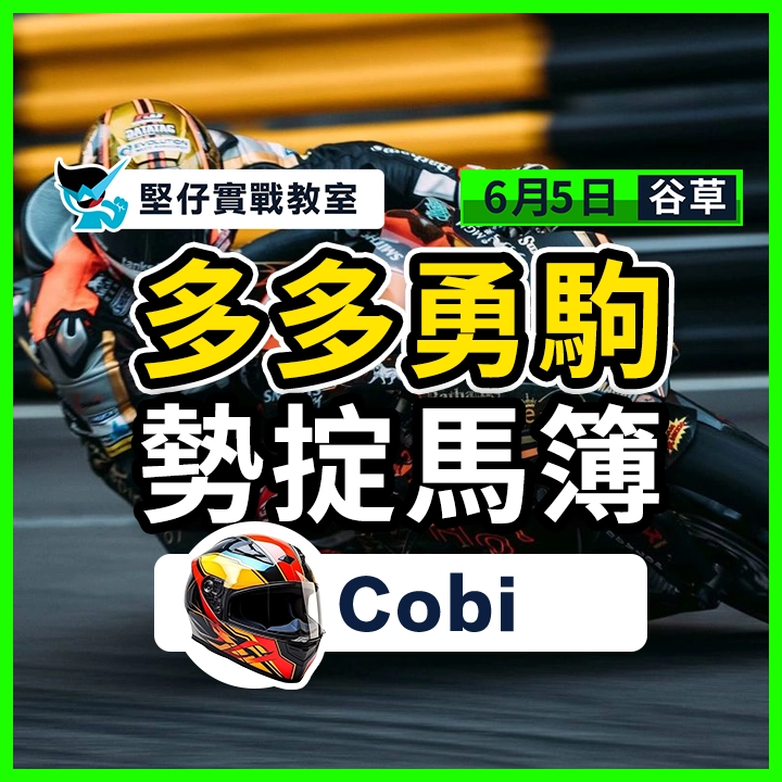 多多勇駒  勢掟馬簿