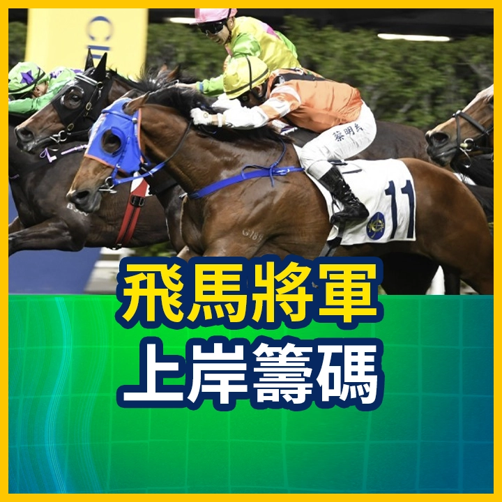 飛馬將軍 上岸籌碼