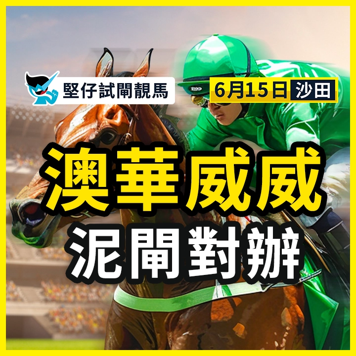澳華威威 泥閘對辦