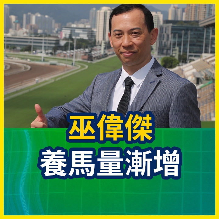 巫偉傑 養馬量漸增