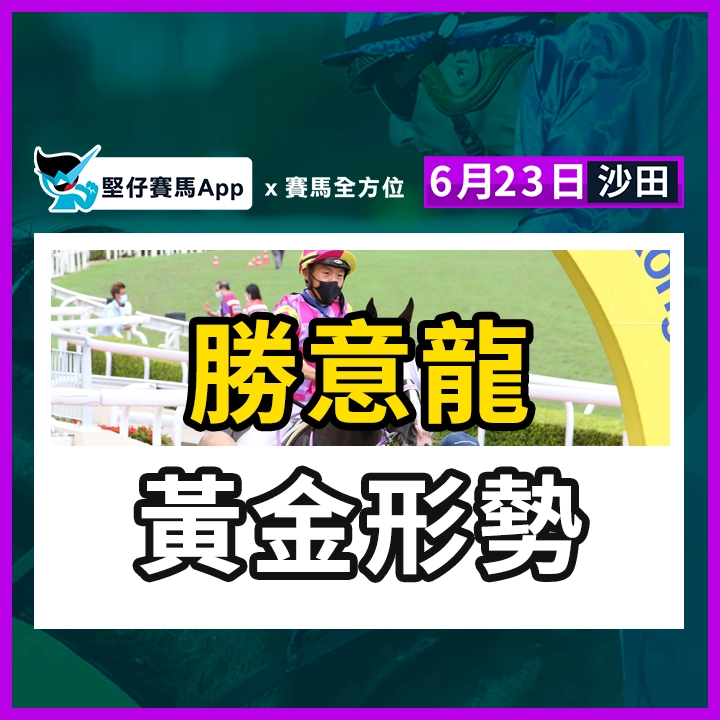 勝意龍 黃金形勢
