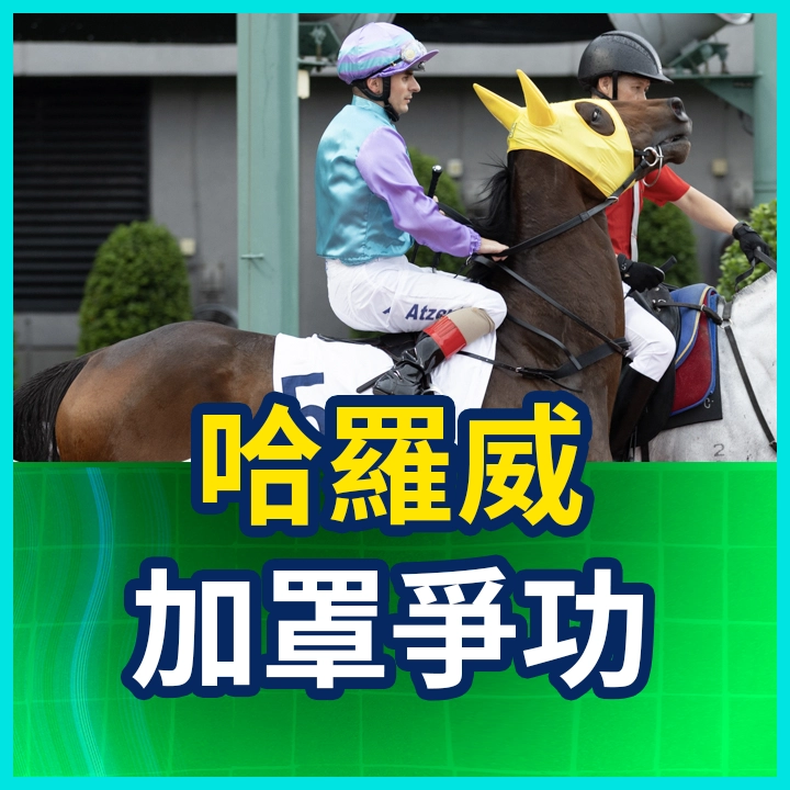 哈羅威 加罩爭功