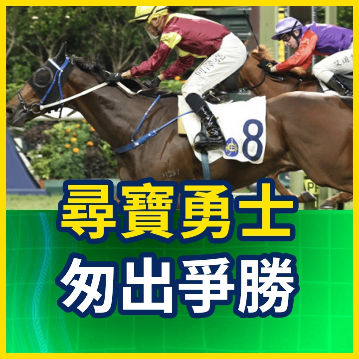 尋寶勇士 匆出爭勝