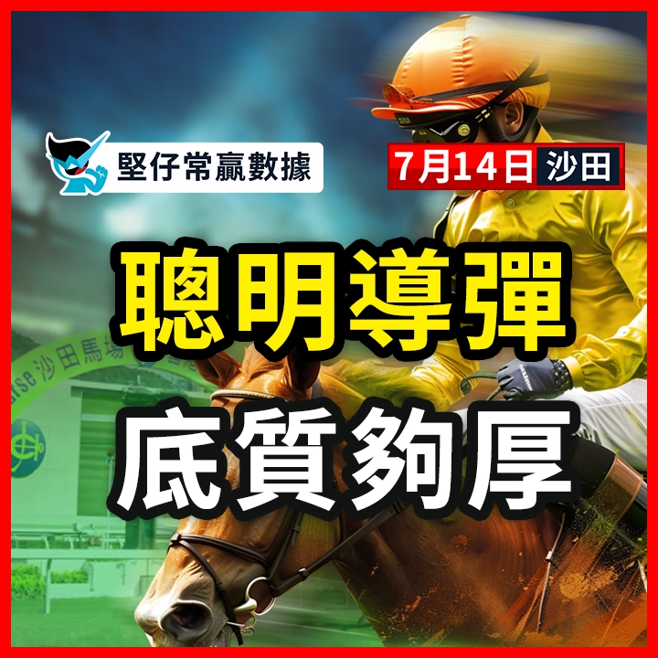 聪明导弹 底质够厚