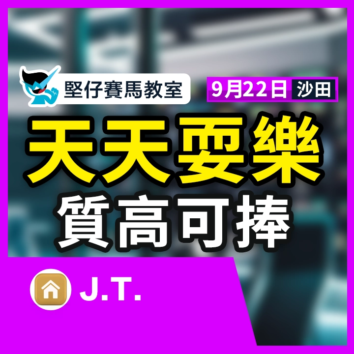 天天耍乐 质高可捧