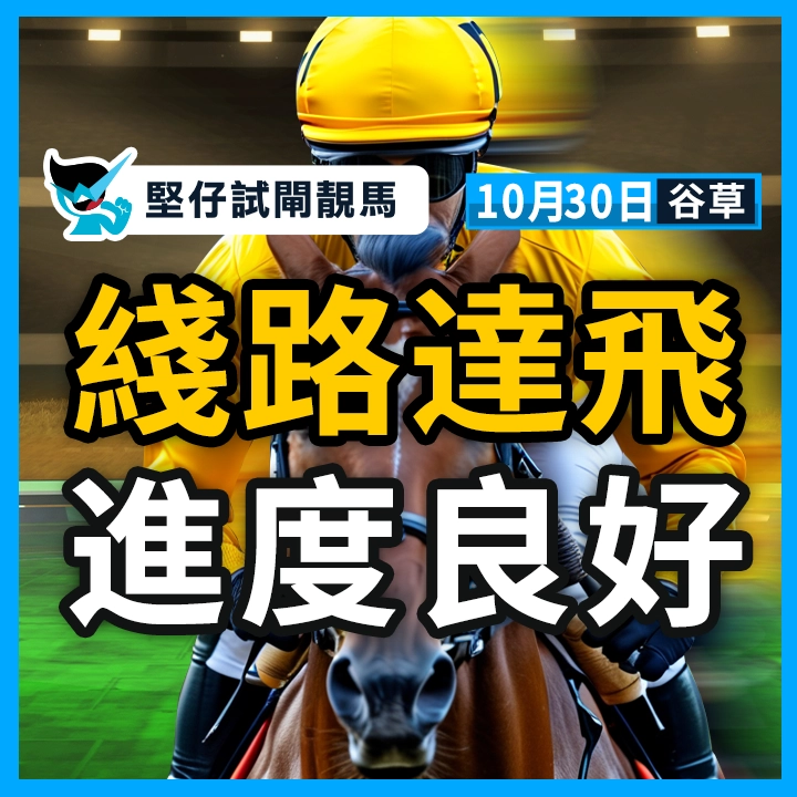 綫路達飛  進度良好