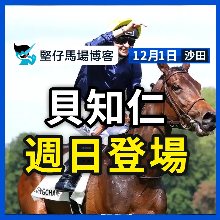 貝知仁 週日登場